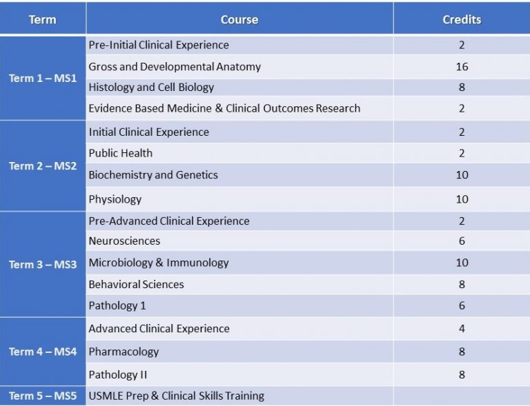 undergraduate courses for science students